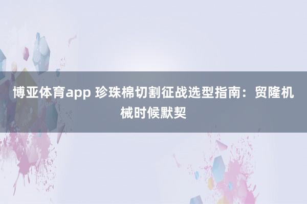 博亚体育app 珍珠棉切割征战选型指南：贸隆机械时候默契