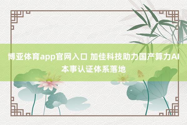 博亚体育app官网入口 加佳科技助力国产算力AI本事认证体系落地