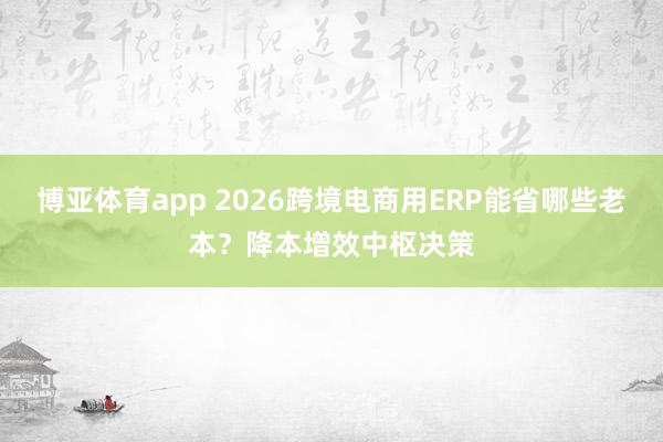 博亚体育app 2026跨境电商用ERP能省哪些老本？降本增效中枢决策