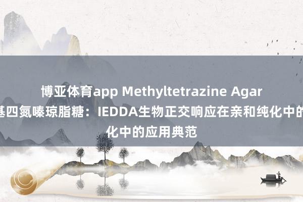 博亚体育app Methyltetrazine Agarose，甲基四氮嗪琼脂糖：IEDDA生物正交响应在亲和纯化中的应用典范