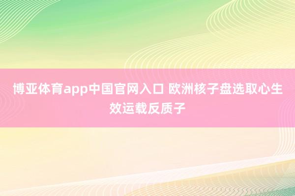 博亚体育app中国官网入口 欧洲核子盘选取心生效运载反质子