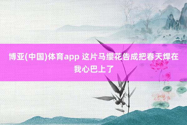 博亚(中国)体育app 这片马缨花告成把春天焊在我心巴上了