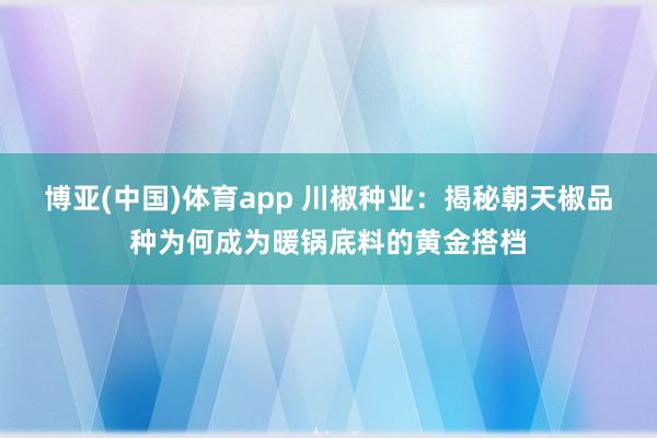 博亚(中国)体育app 川椒种业：揭秘朝天椒品种为何成为暖锅底料的黄金搭档