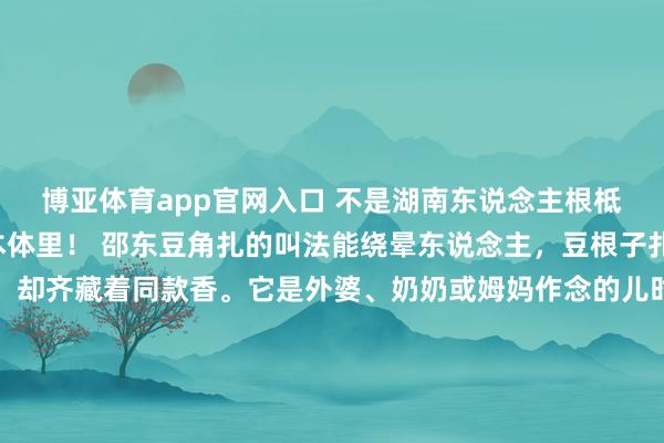 博亚体育app官网入口 不是湖南东说念主根柢不懂，这豆角扎香到本体里！ 邵东豆角扎的叫法能绕晕东说念主，豆根子扎、豆锅子扎各式喊法，却齐藏着同款香。它是外婆、奶奶或姆妈作念的儿时滋味，腌得入味的豆角混着辣椒香，<a href=