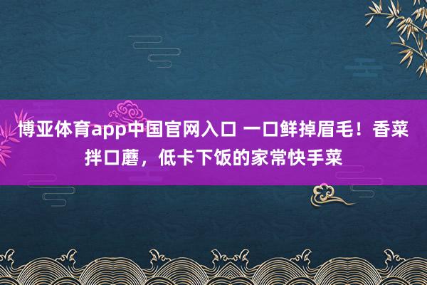 博亚体育app中国官网入口 一口鲜掉眉毛！香菜拌口蘑，低卡下饭的家常快手菜