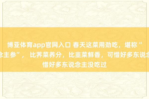 博亚体育app官网入口 春天这菜用劲吃，堪称“树上东说念主参”， 比荠菜养分，比韭菜鲜香，可惜好多东说念主没吃过