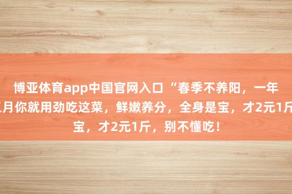 博亚体育app中国官网入口 “春季不养阳，一年齐白忙”，三月你就用劲吃这菜，鲜嫩养分，全身是宝，才2元1斤，别不懂吃！