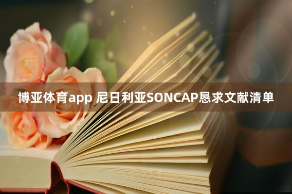 博亚体育app 尼日利亚SONCAP恳求文献清单