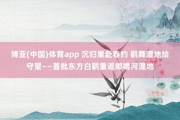 博亚(中国)体育app 沉归巢赴春约 鹳舞湿地绘守望——首批东方白鹳重返嘟噜河湿地