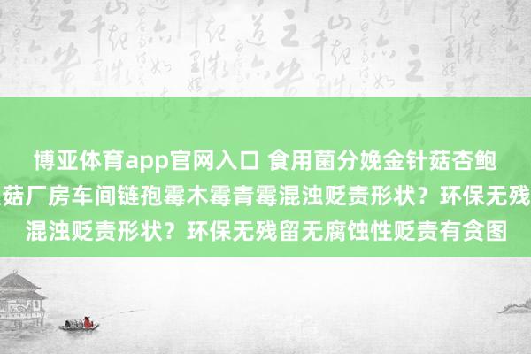 博亚体育app官网入口 食用菌分娩金针菇杏鲍菇海鲜菇蟹味菇大球盖菇厂房车间链孢霉木霉青霉混浊贬责形状?环保无残留无腐蚀性贬责有贪图