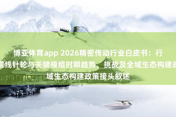博亚体育app 2026精密传动行业白皮书:行星齿轮箱、摆线针轮与关键模组时期趋势、挑战及全域生态构建政策接头叙述