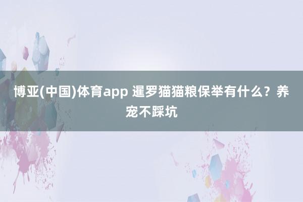 博亚(中国)体育app 暹罗猫猫粮保举有什么？养宠不踩坑