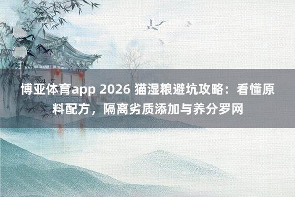 博亚体育app 2026 猫湿粮避坑攻略：看懂原料配方，隔离劣质添加与养分罗网