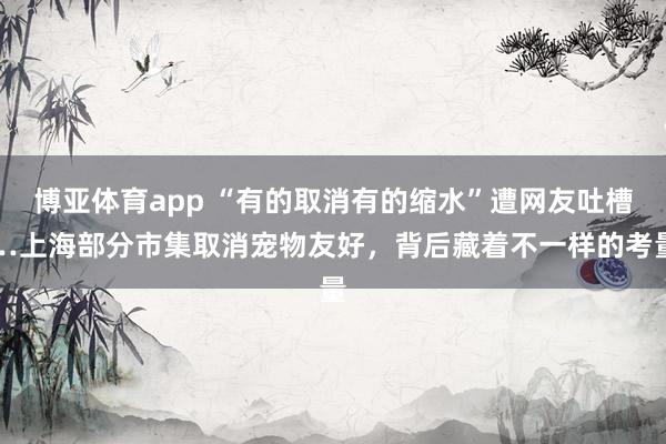 博亚体育app “有的取消有的缩水”遭网友吐槽…上海部分市集取消宠物友好，背后藏着不一样的考量