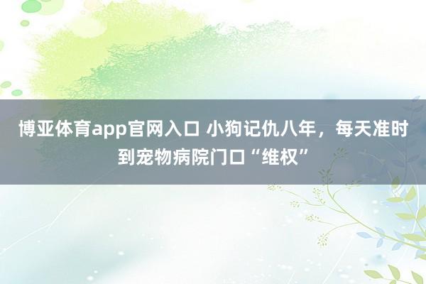 博亚体育app官网入口 小狗记仇八年，每天准时到宠物病院门口“维权”