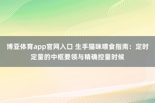 博亚体育app官网入口 生手猫咪喂食指南：定时定量的中枢要领与精确控量时候