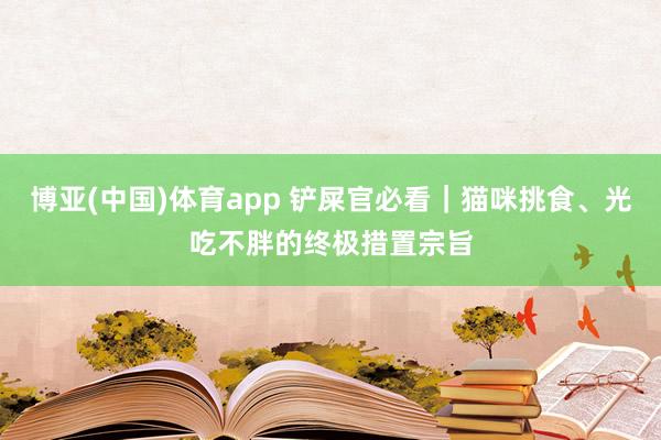 博亚(中国)体育app 铲屎官必看｜猫咪挑食、光吃不胖的终极措置宗旨