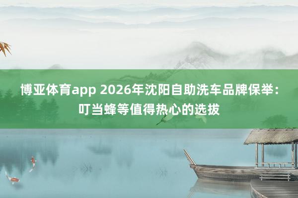 博亚体育app 2026年沈阳自助洗车品牌保举：叮当蜂等值得热心的选拔