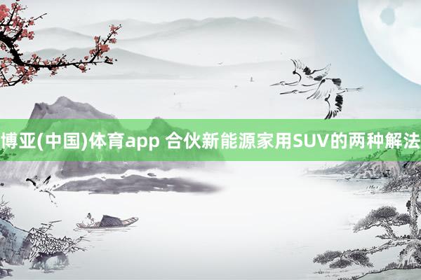 博亚(中国)体育app 合伙新能源家用SUV的两种解法