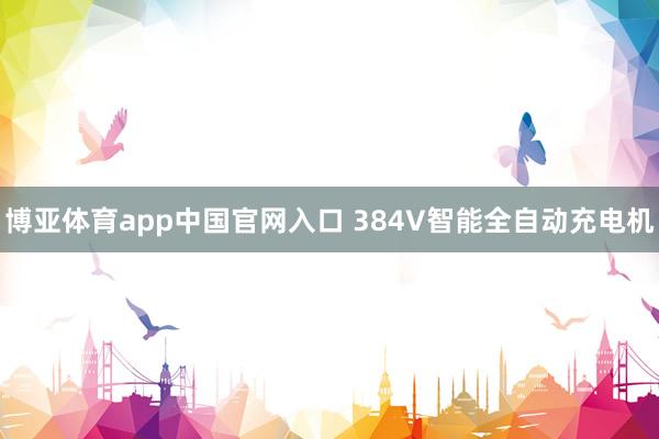 博亚体育app中国官网入口 384V智能全自动充电机