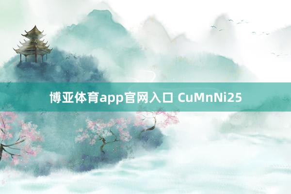 博亚体育app官网入口 CuMnNi25