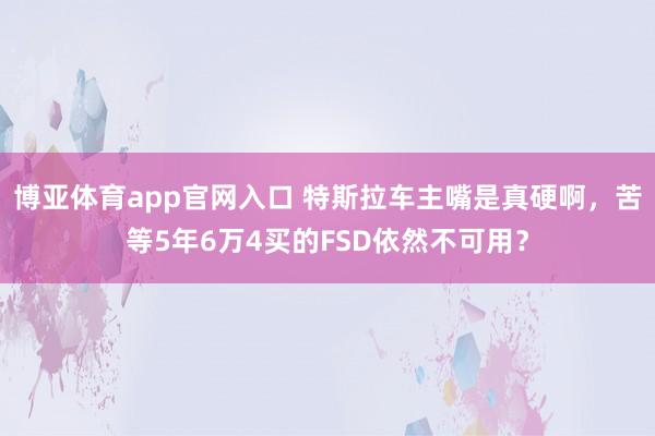 博亚体育app官网入口 特斯拉车主嘴是真硬啊，苦等5年6万4买的FSD依然不可用？