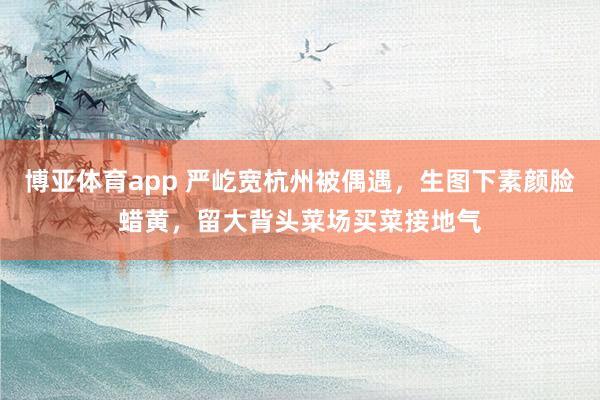 博亚体育app 严屹宽杭州被偶遇，生图下素颜脸蜡黄，留大背头菜场买菜接地气