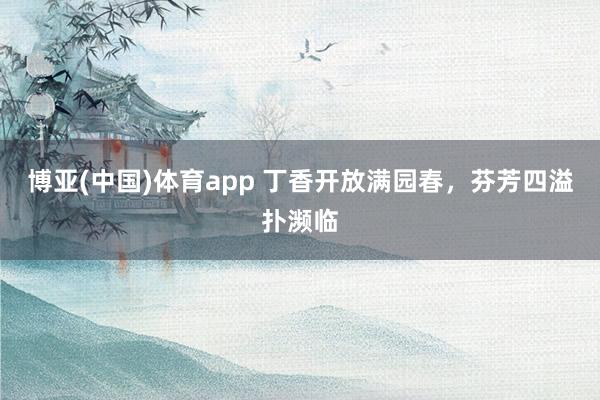 博亚(中国)体育app 丁香开放满园春，芬芳四溢扑濒临