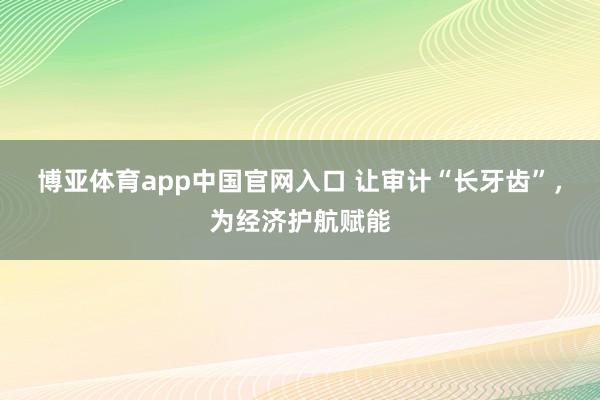 博亚体育app中国官网入口 让审计“长牙齿”，为经济护航赋能