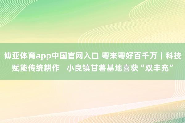 博亚体育app中国官网入口 粤来粤好百千万｜科技赋能传统耕作   小良镇甘薯基地喜获“双丰充”
