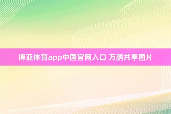 博亚体育app中国官网入口 万鹏共享图片