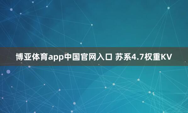 博亚体育app中国官网入口 苏系4.7权重KV