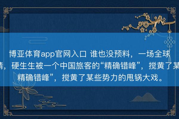 博亚体育app官网入口 谁也没预料,一场全球紧盯的汉坦病毒疫情,硬生生被一个中国旅客的“精确错峰”,搅黄了某些势力的甩锅大戏。