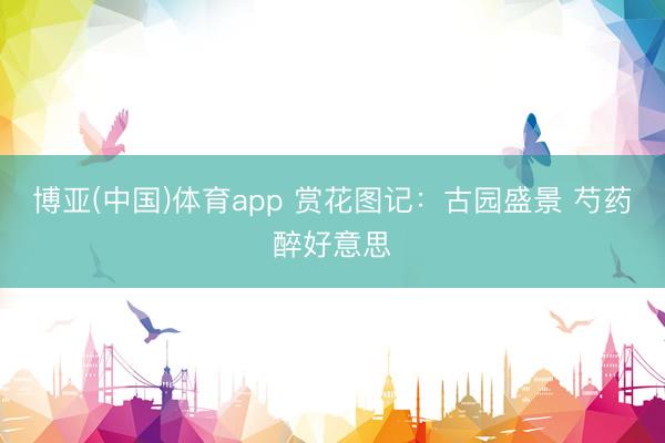 博亚(中国)体育app 赏花图记：古园盛景 芍药醉好意思
