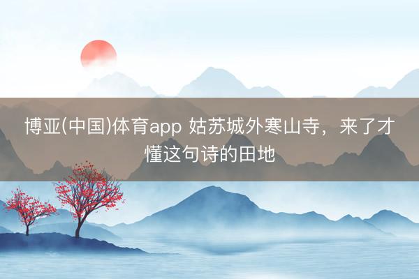 博亚(中国)体育app 姑苏城外寒山寺,来了才懂这句诗的田地