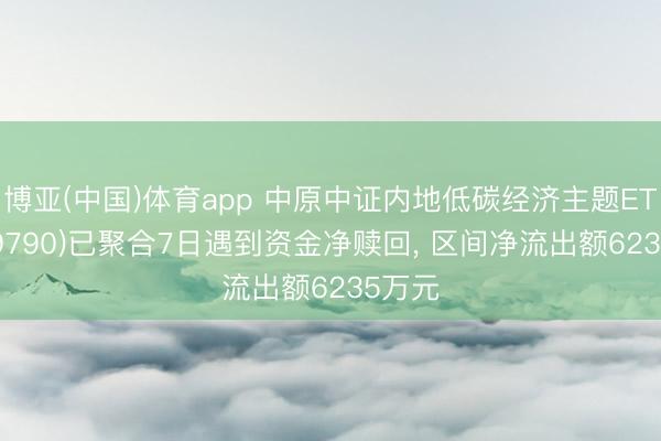 博亚(中国)体育app 中原中证内地低碳经济主题ETF(159790)已聚合7日遇到资金净赎回， 区间净流出额6235万元