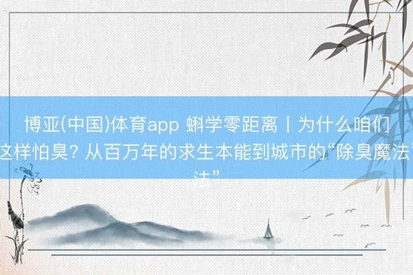 博亚(中国)体育app 蝌学零距离丨为什么咱们这样怕臭? 从百万年的求生本能到城市的“除臭魔法”