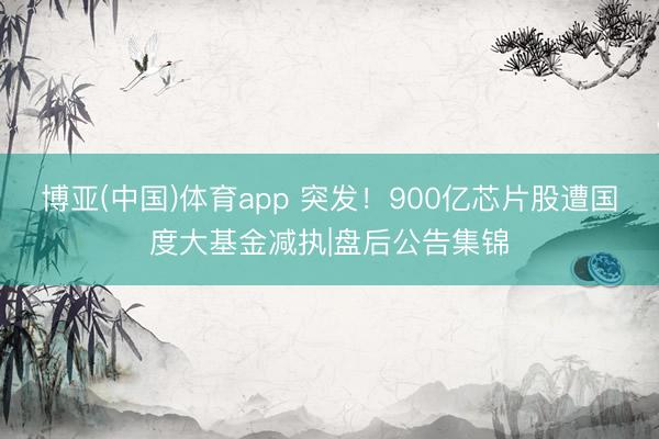博亚(中国)体育app 突发！900亿芯片股遭国度大基金减执|盘后公告集锦