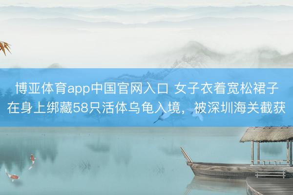 博亚体育app中国官网入口 女子衣着宽松裙子在身上绑藏58只活体乌龟入境,被深圳海关截获