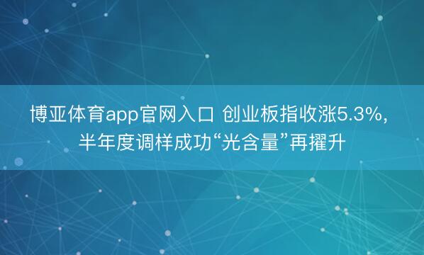 博亚体育app官网入口 创业板指收涨5.3%， 半年度调样成功“光含量”再擢升